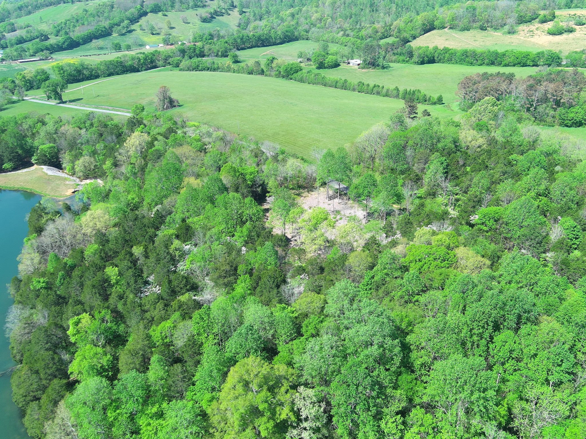 0 Bedford Lake Road Normandy, TN 37360 - Photo 7 of 34