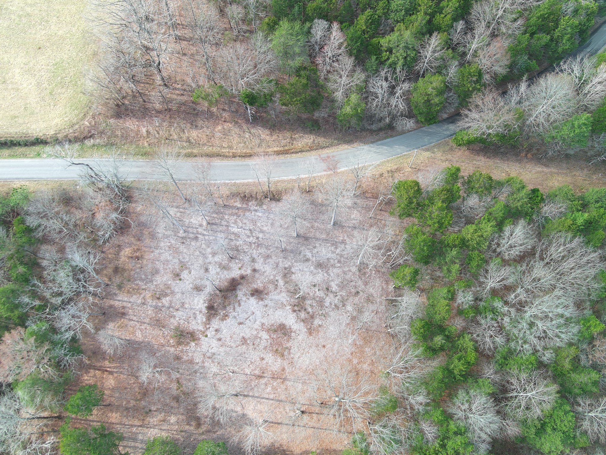 0 Bedford Lake Road Normandy, TN 37360 - Photo 7 of 21