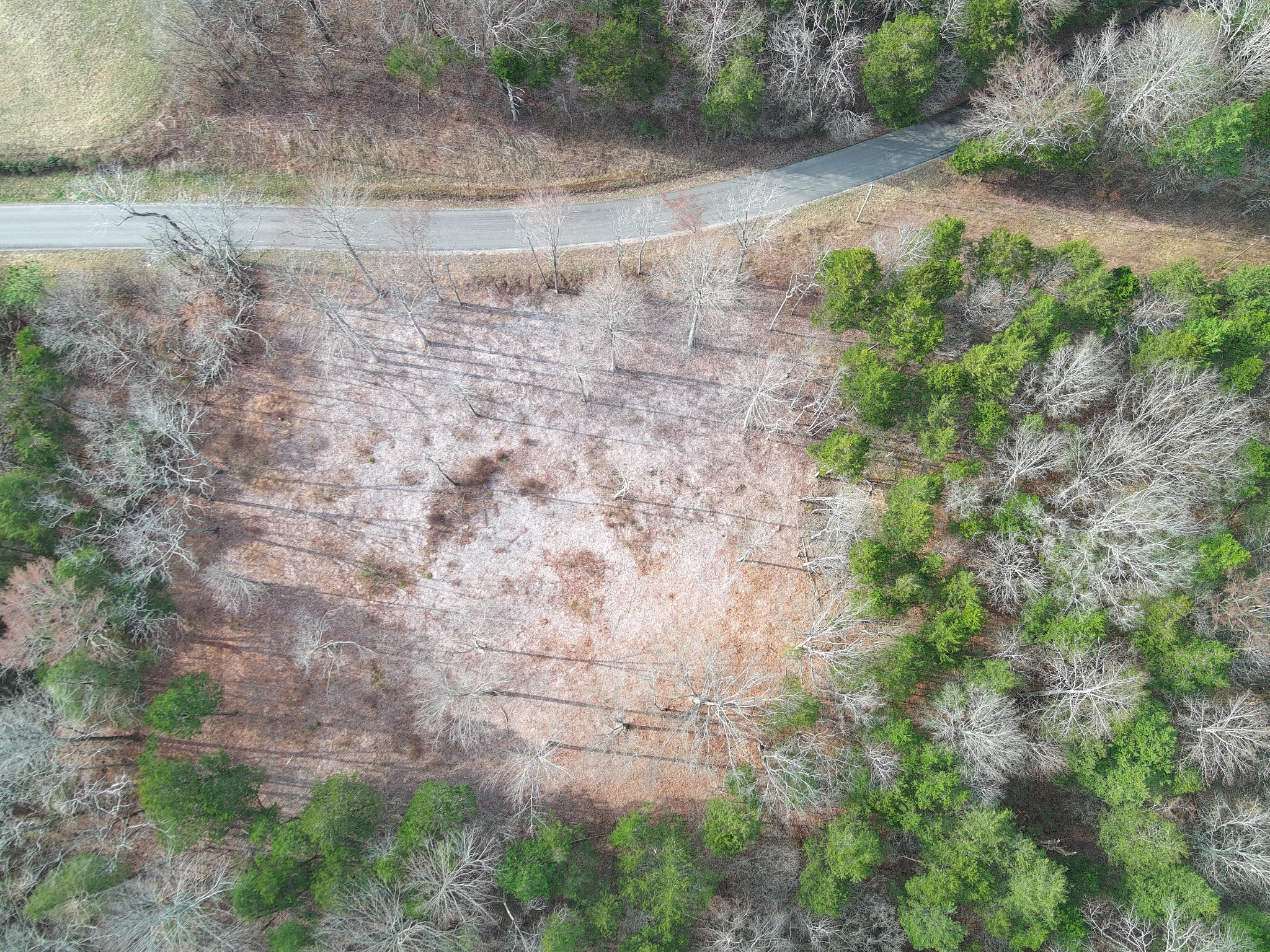 0 Bedford Lake Road Normandy, TN 37360 - Photo 8 of 21