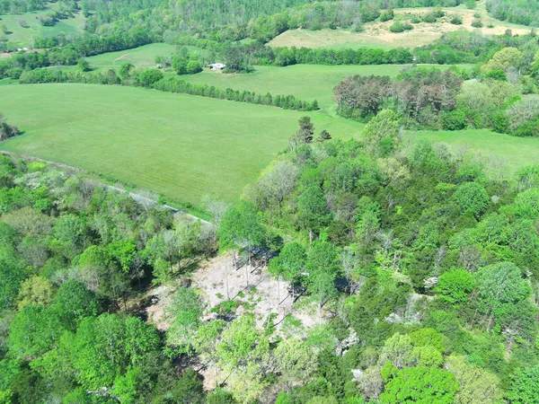 a view of a yard next to a lake
