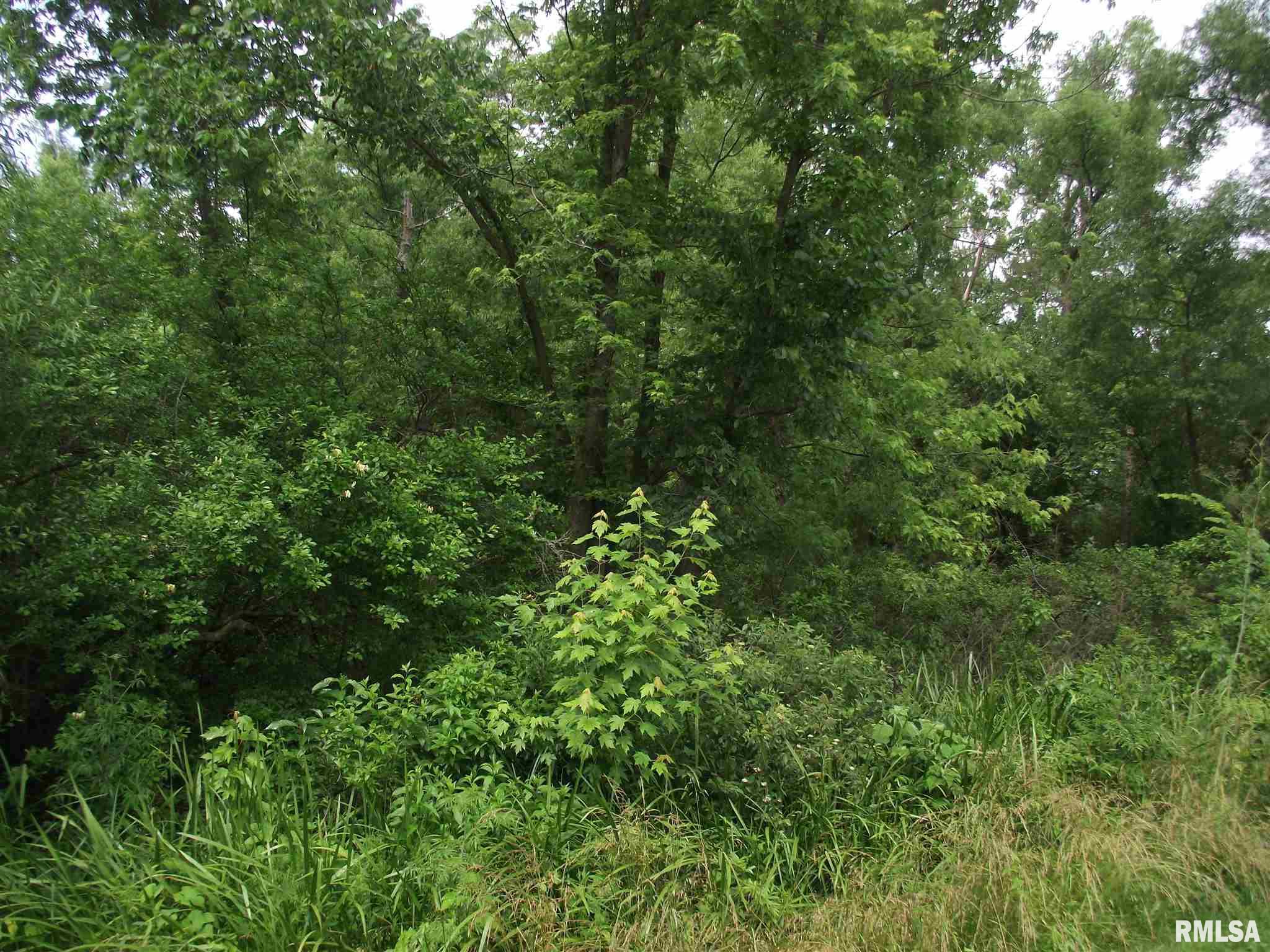 Oooo Collier Creek Road Tamaroa, IL 62888 - Photo 1 of 1