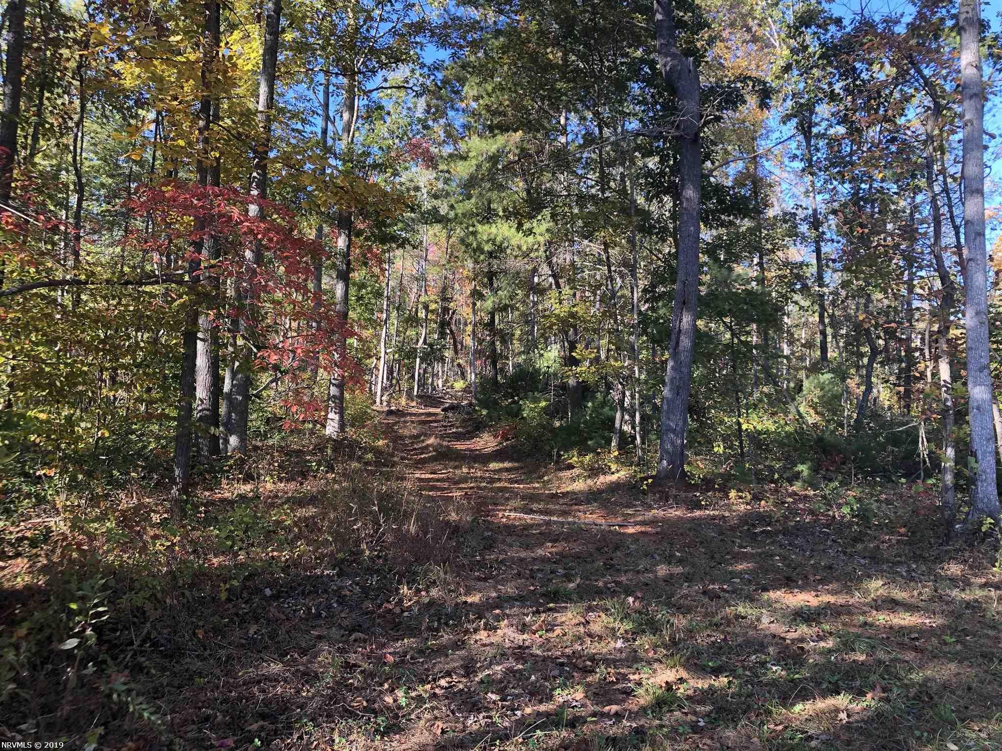 Tbd Thompson Ridge Road Ferrum, VA 24088 - Photo 14 of 16 Gallery Image 14