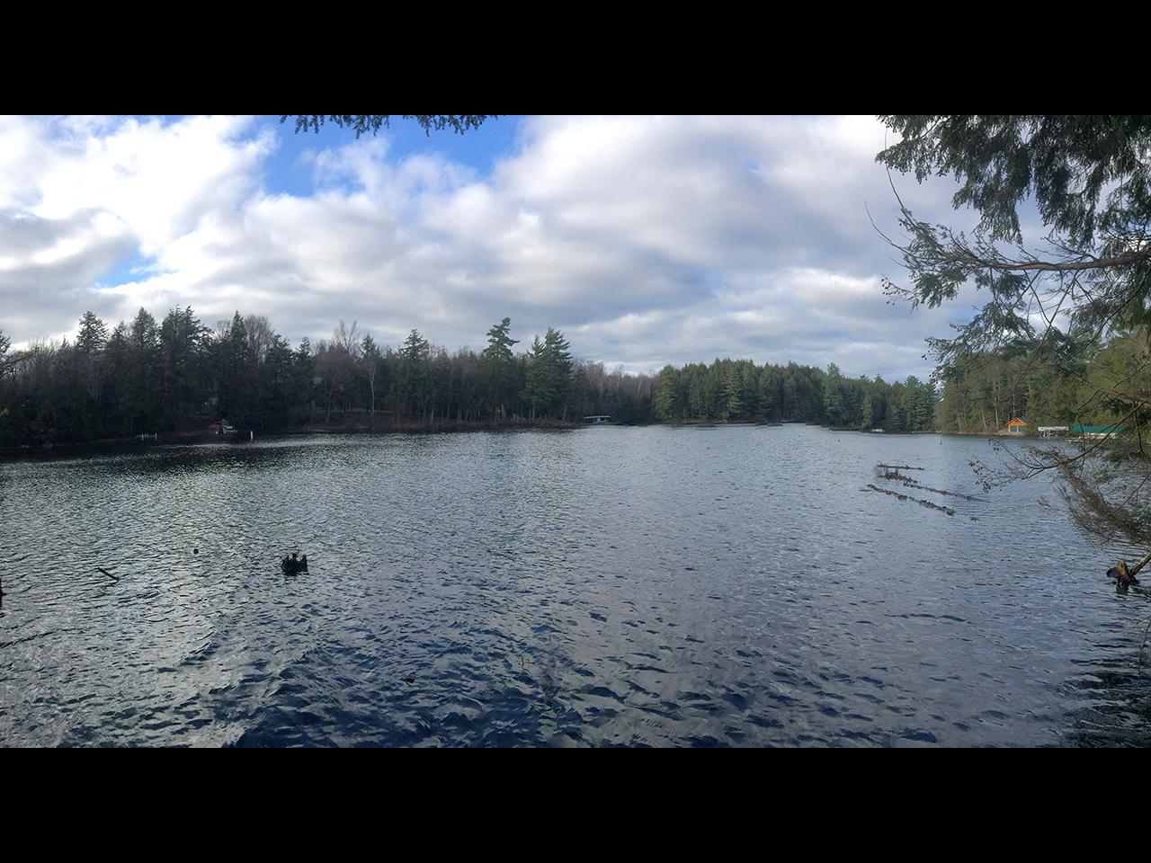 6697 Cw Smith Road Three Lakes, WI 54562 - Photo 7 of 29 Gallery Image 7