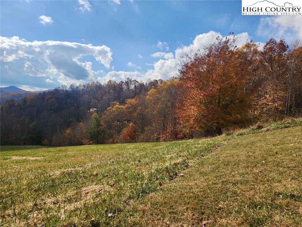 264 Holman Road Todd, NC 28684 - Photo 2 of 6 a view of an outdoor space and a yard