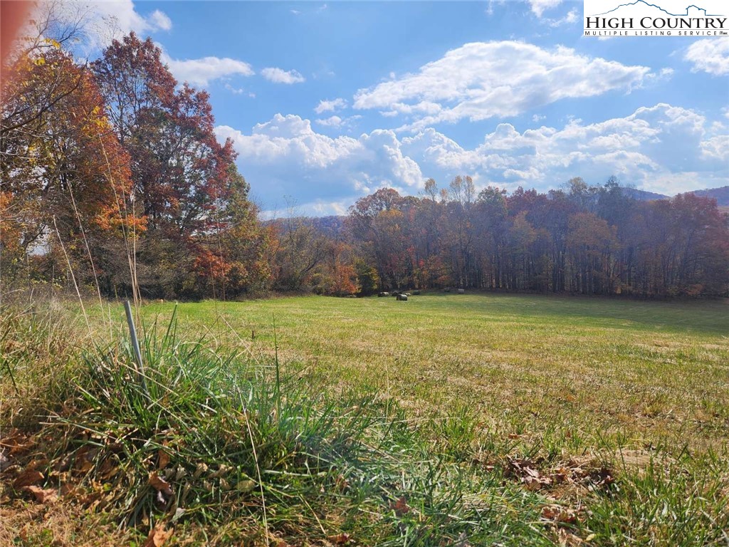 264 Holman Road Todd, NC 28684 - Photo 3 of 6 a view of a yard