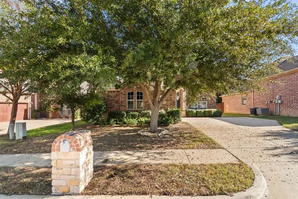a view of a yard with plants and trees