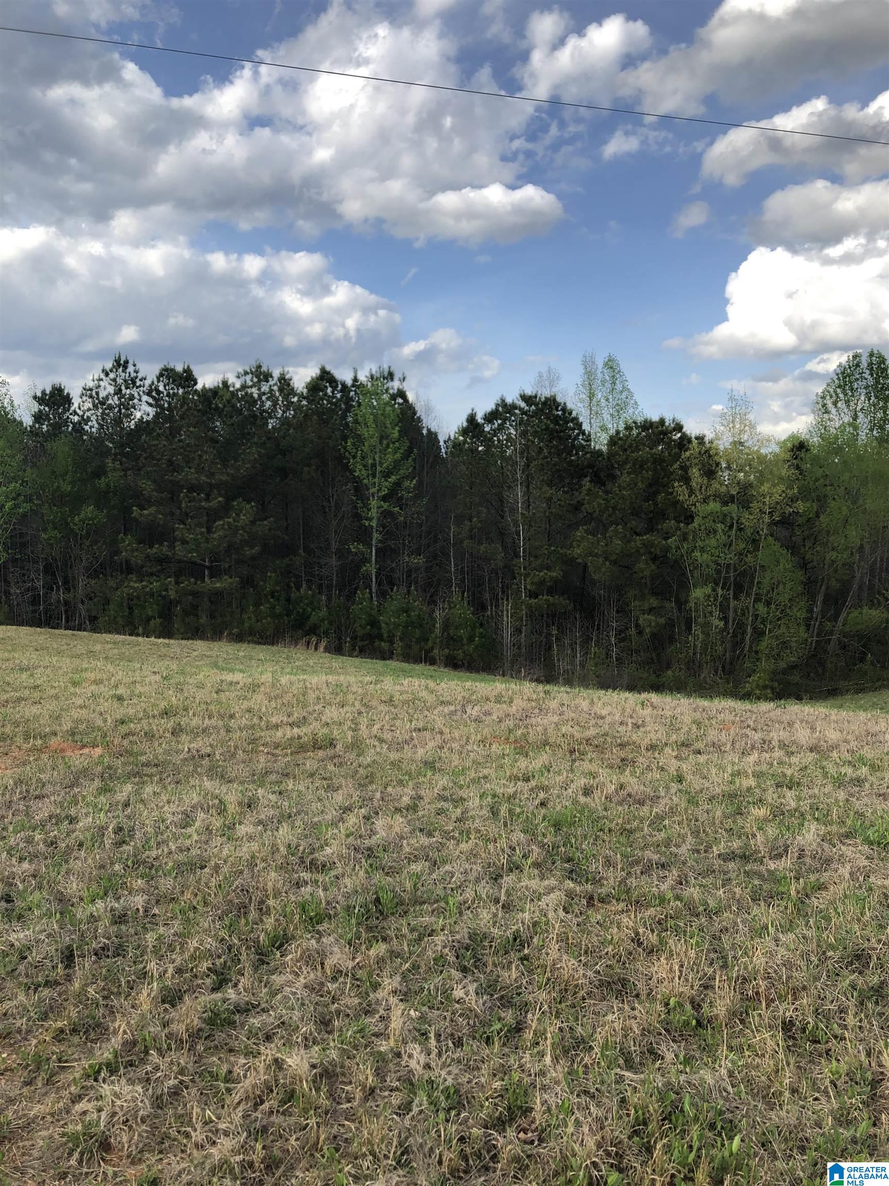 0 County Road 835, Unit 1 Clanton, AL 35046 - Photo 4 of 5