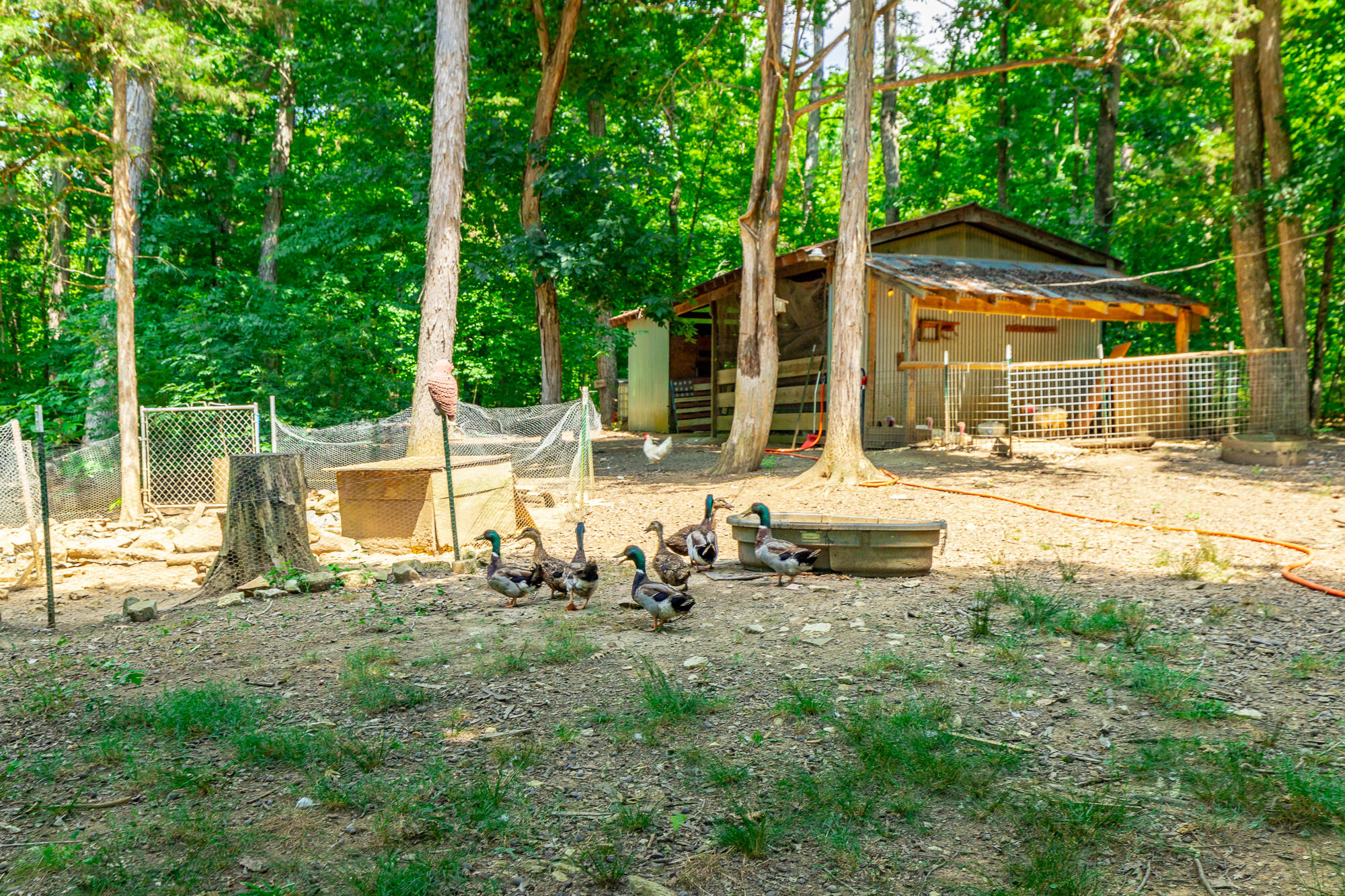 7636 Ooltewah Georgetown Road Ooltewah, TN 37363 - Photo 113 of 180 7636 Ooltewah Georgetown Road HD-18