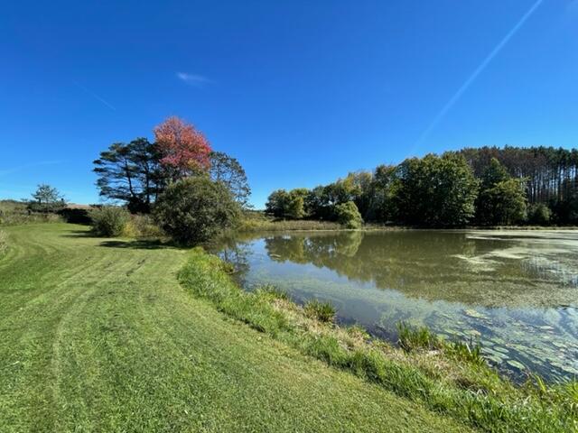 12970 Wilson Road Rodney, MI 49342 - Photo 11 of 22 IMG_3612