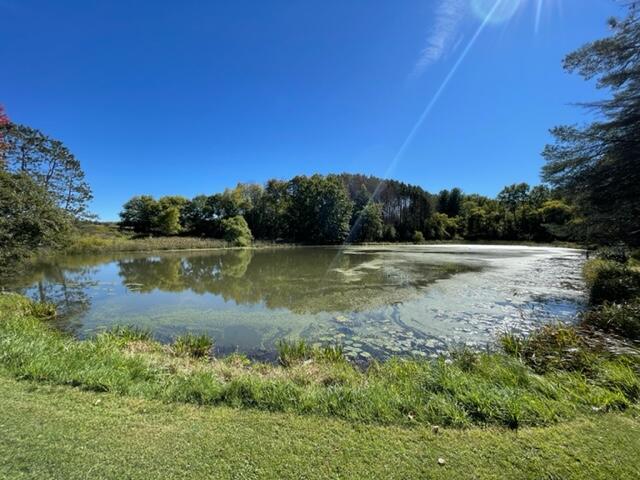 12970 Wilson Road Rodney, MI 49342 - Photo 12 of 22 IMG_3613