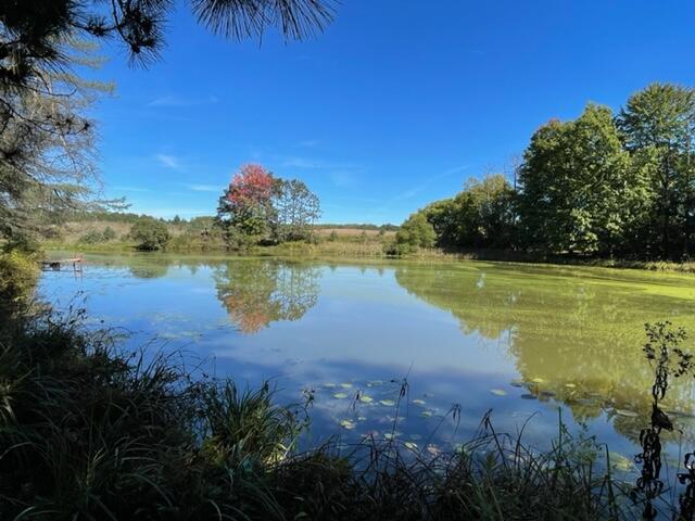 12970 Wilson Road Rodney, MI 49342 - Photo 10 of 22 IMG_3610