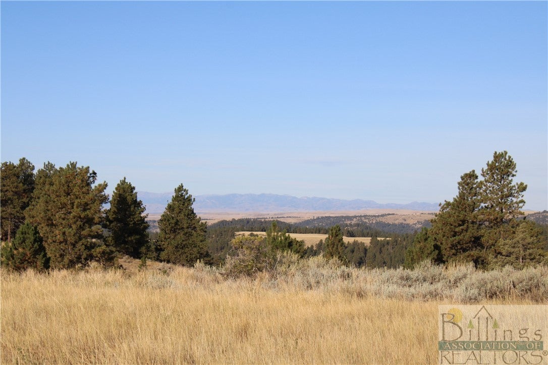 Lot 11 Shane Ridge Road Columbus, MT 59019 - Photo 1 of 1 Gallery Image 1