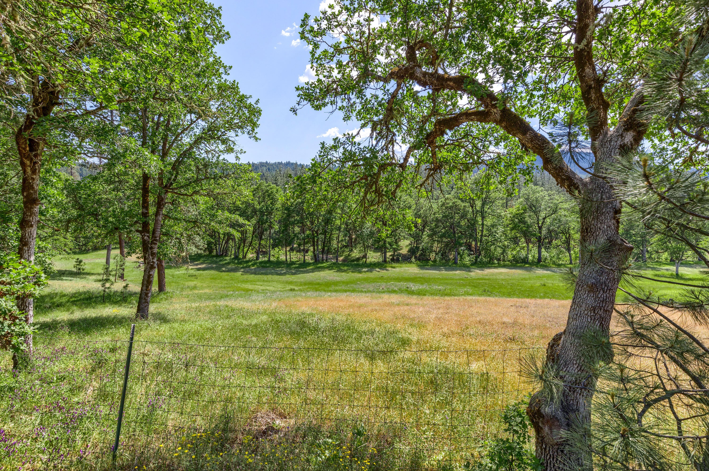 2030 Long Branch Road Eagle Point, OR 97524 - Photo 12 of 54 22_LBR_22