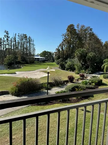 a view of a swimming pool with a yard