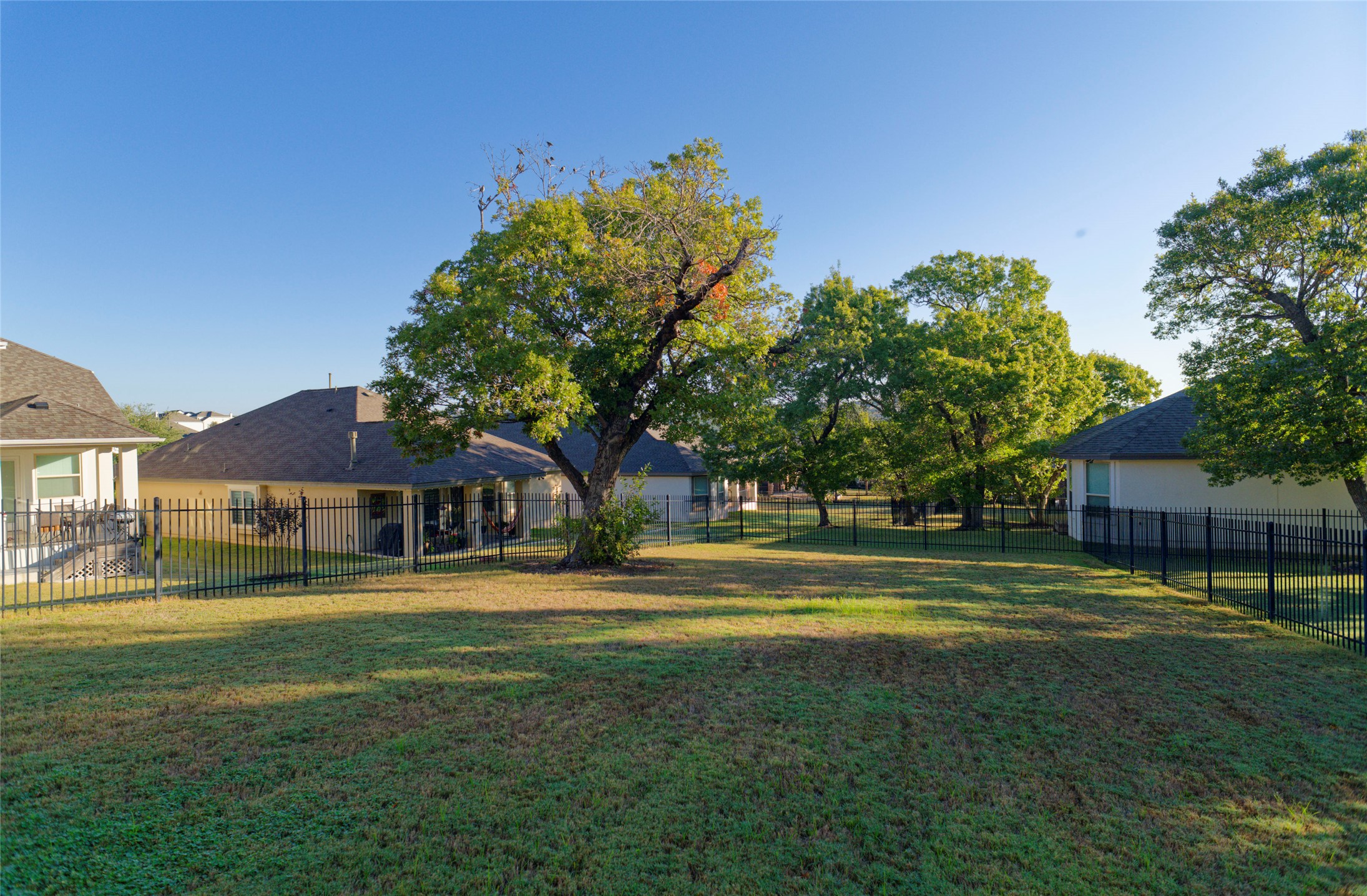 4001 Goodnight Trail Leander, TX 78641 - Photo 31 of 35 a view of a big yard with palm trees