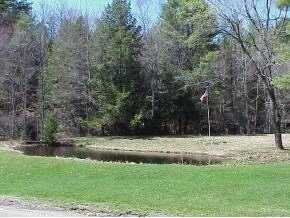 744 Brook Road Cavendish, VT 05142 - Photo 4 of 7