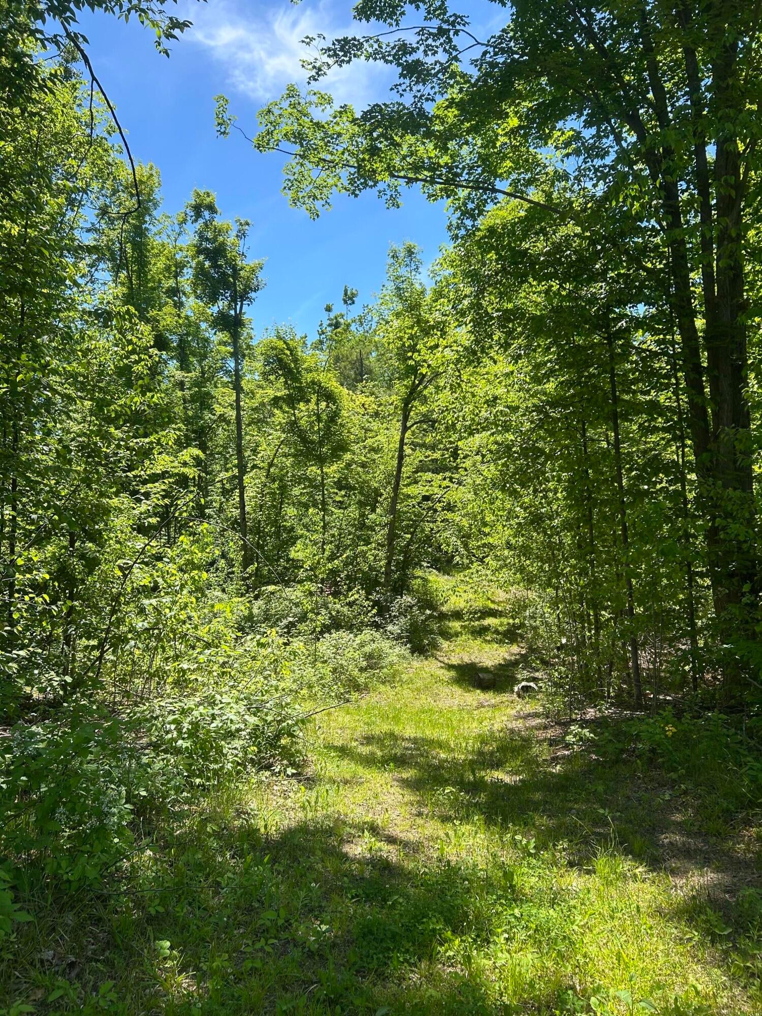 1510 Rogers Road Fairview, MI 48621 - Photo 54 of 61 Gallery Image 54