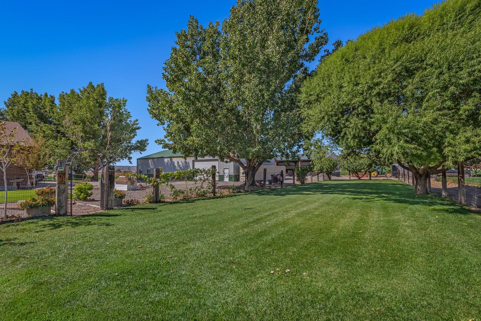 1821 12 Road Loma, CO 81524 - Photo 24 of 42 Gallery Image 24