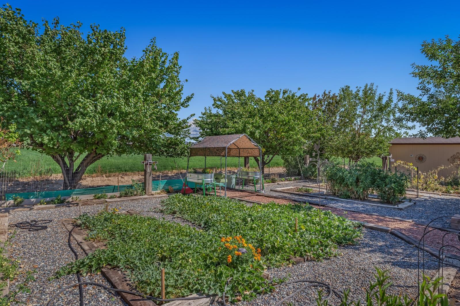 1821 12 Road Loma, CO 81524 - Photo 26 of 42 Gallery Image 26