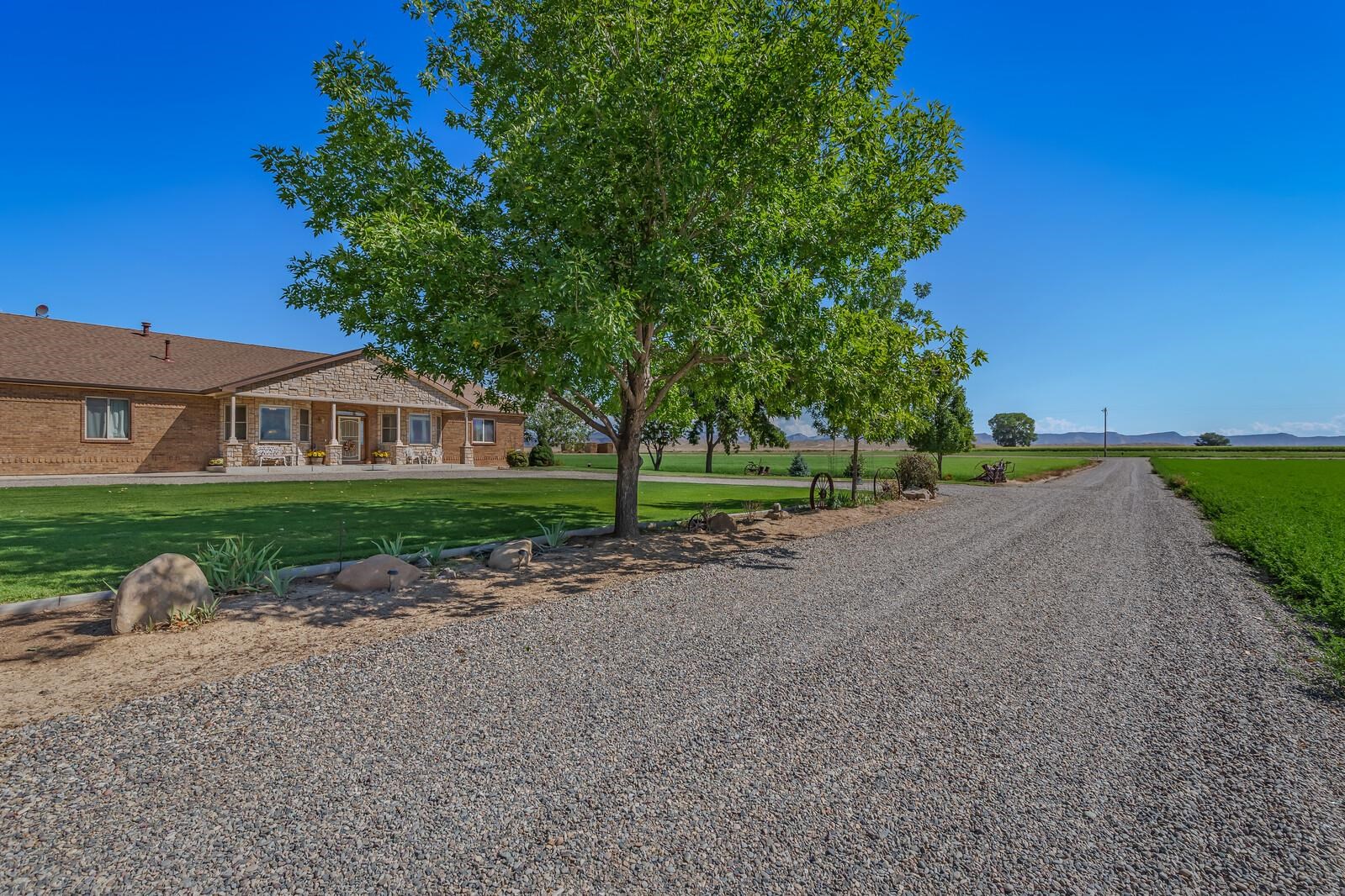 1821 12 Road Loma, CO 81524 - Photo 28 of 42 Gallery Image 28