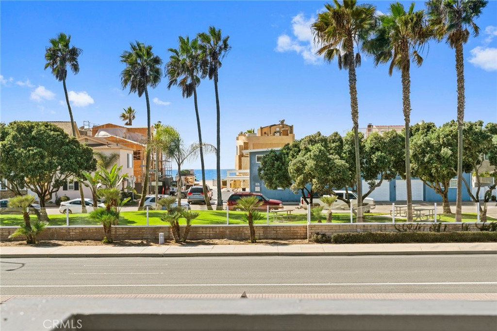 203 Cedar Street, Unit A & B Newport Beach, CA 92663 - Photo 17 of 32 a view of a yard and palm trees