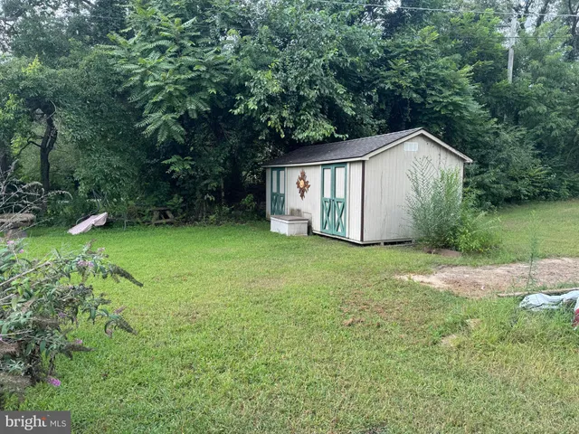 a view of backyard of house with large trees and plants