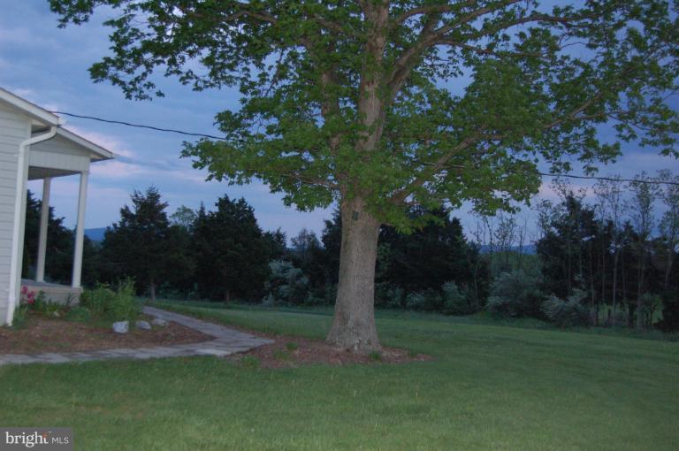 5735 Long Meadow Road Middletown, VA 22645 - Photo 9 of 29 Yard