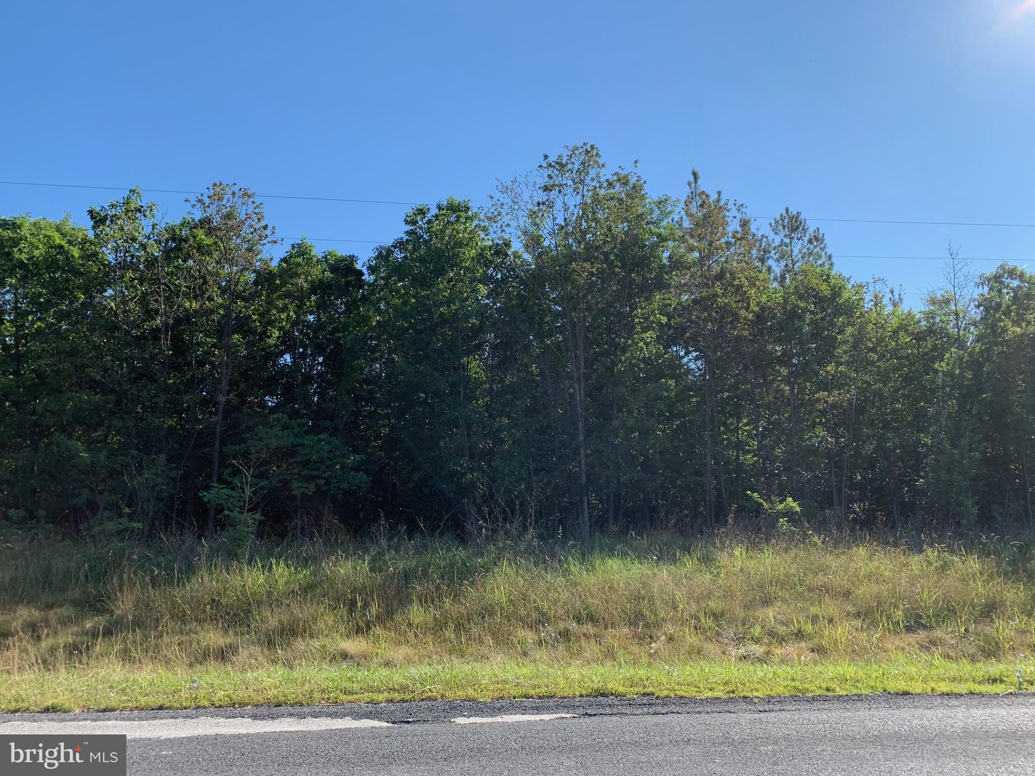 Lot 2 Redland Road Cross Junction, VA 22625 - Photo 1 of 5 Gallery Image 1