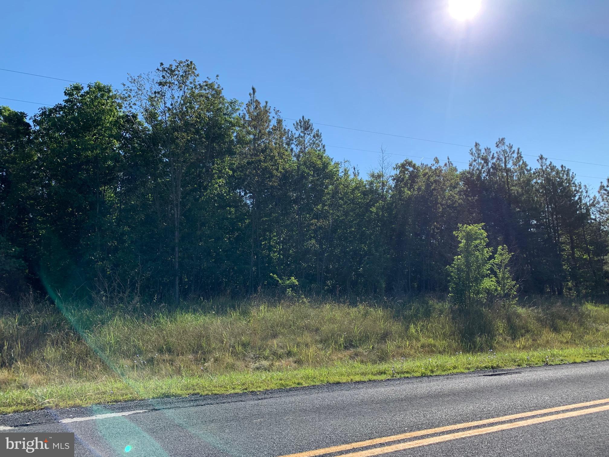 Lot 2 Redland Road Cross Junction, VA 22625 - Photo 4 of 5 Gallery Image 4