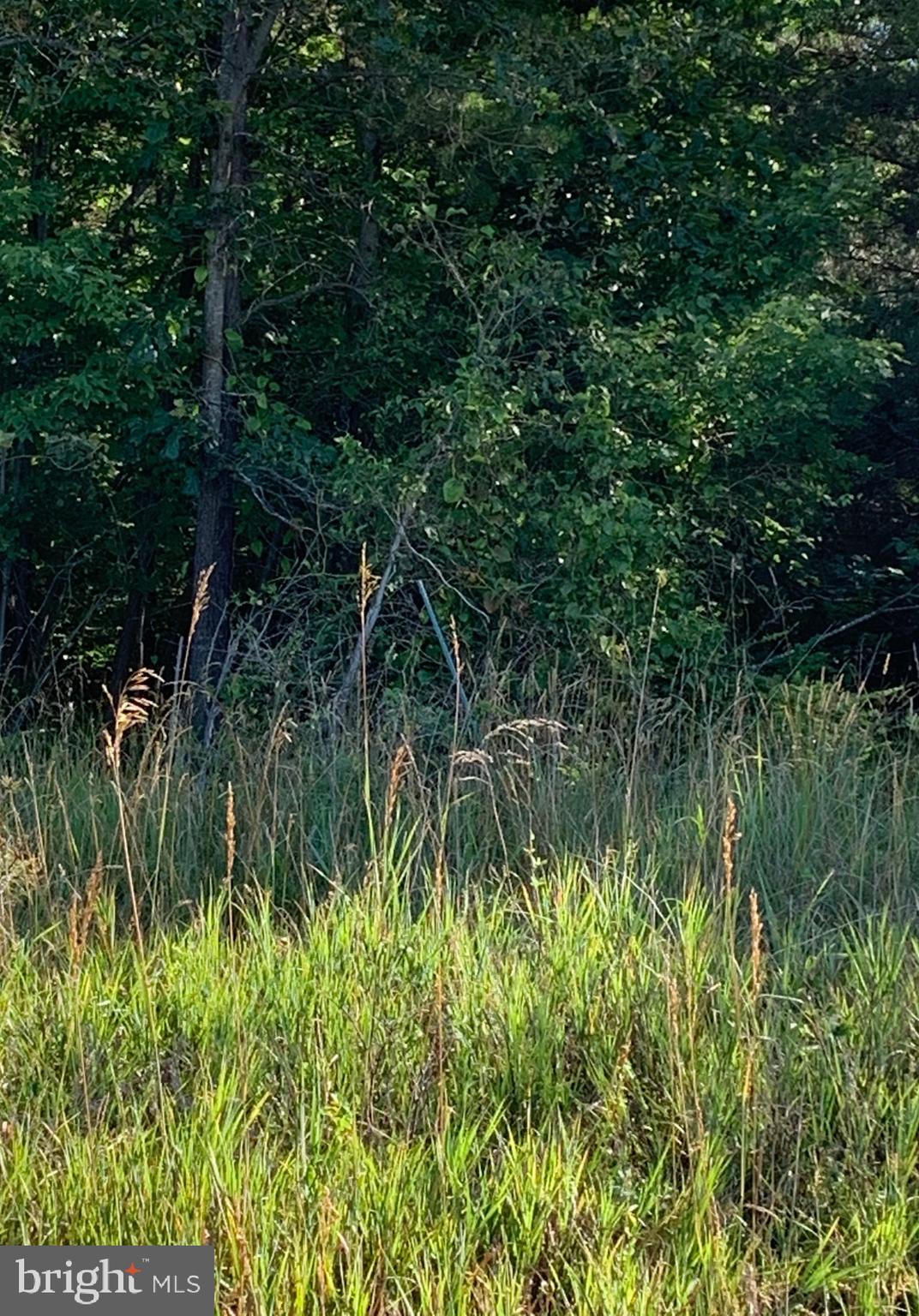 Lot 2 Redland Road Cross Junction, VA 22625 - Photo 5 of 5 Gallery Image 5