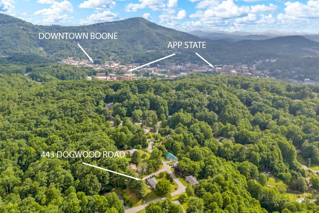 443 Dogwood Road Boone, NC 28607 - Photo 5 of 33
