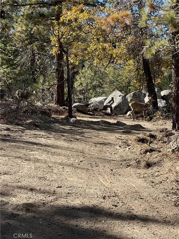 $45,000 | 15328043 Piute Pines Road, Unit RISE, Caliente, CA 93518