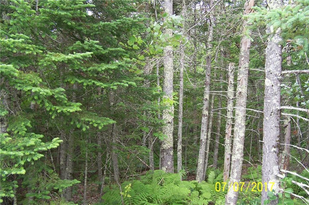 Tba Hudson Hill Road Hudson, ME 04449 - Photo 2 of 8 Photo