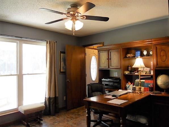 7508 Springhill Road Pollock, LA 71467 - Photo 17 of 21 Gallery Image 17