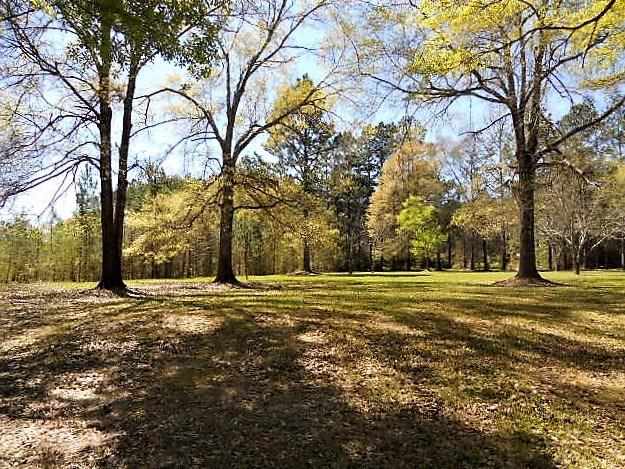 7508 Springhill Road Pollock, LA 71467 - Photo 3 of 21 Gallery Image 3