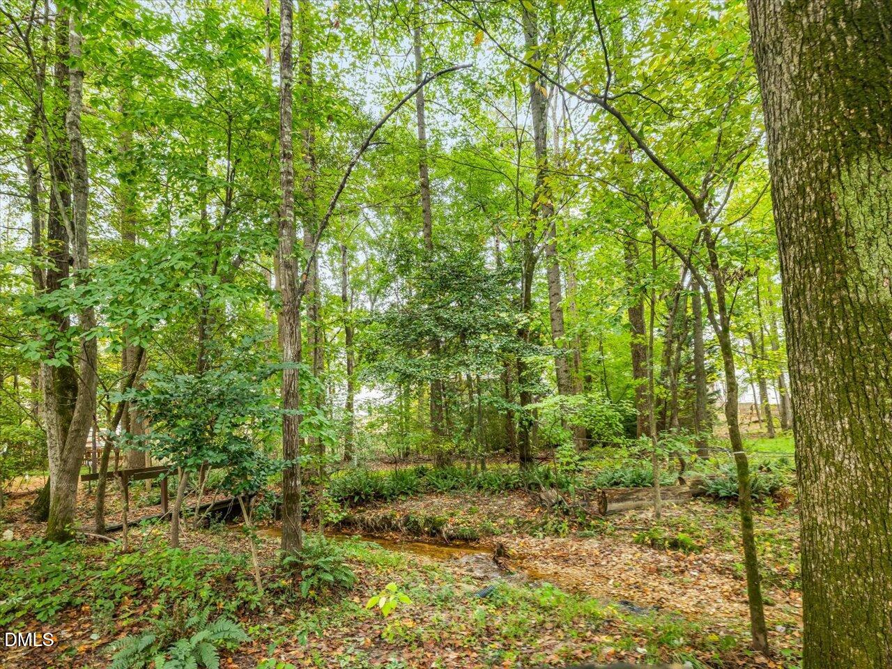 1311 Pendula Path Apex, NC 27502 - Photo 6 of 30 a view of a garden