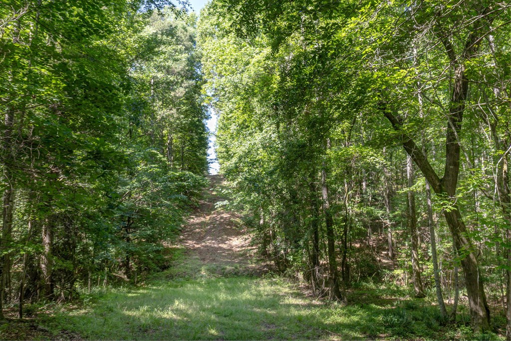 231 Lower Lovelace Road West Point, GA 31833 - Photo 32 of 49