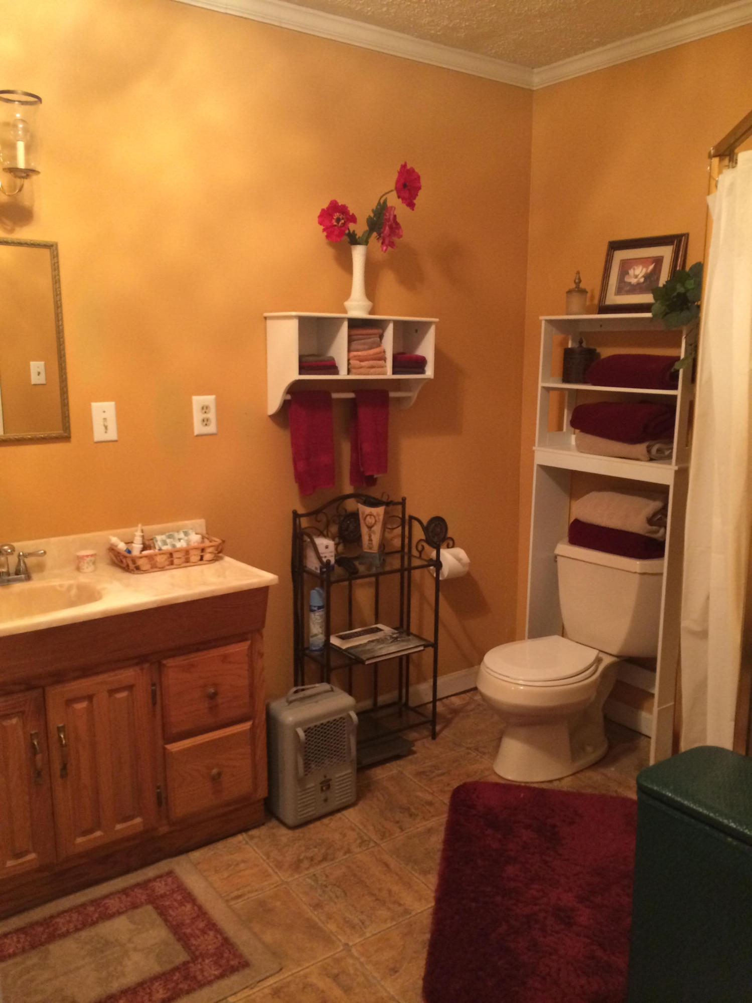 3266 West Nickajack Road Ringgold, GA 30736 - Photo 6 of 14 Master Bathroom