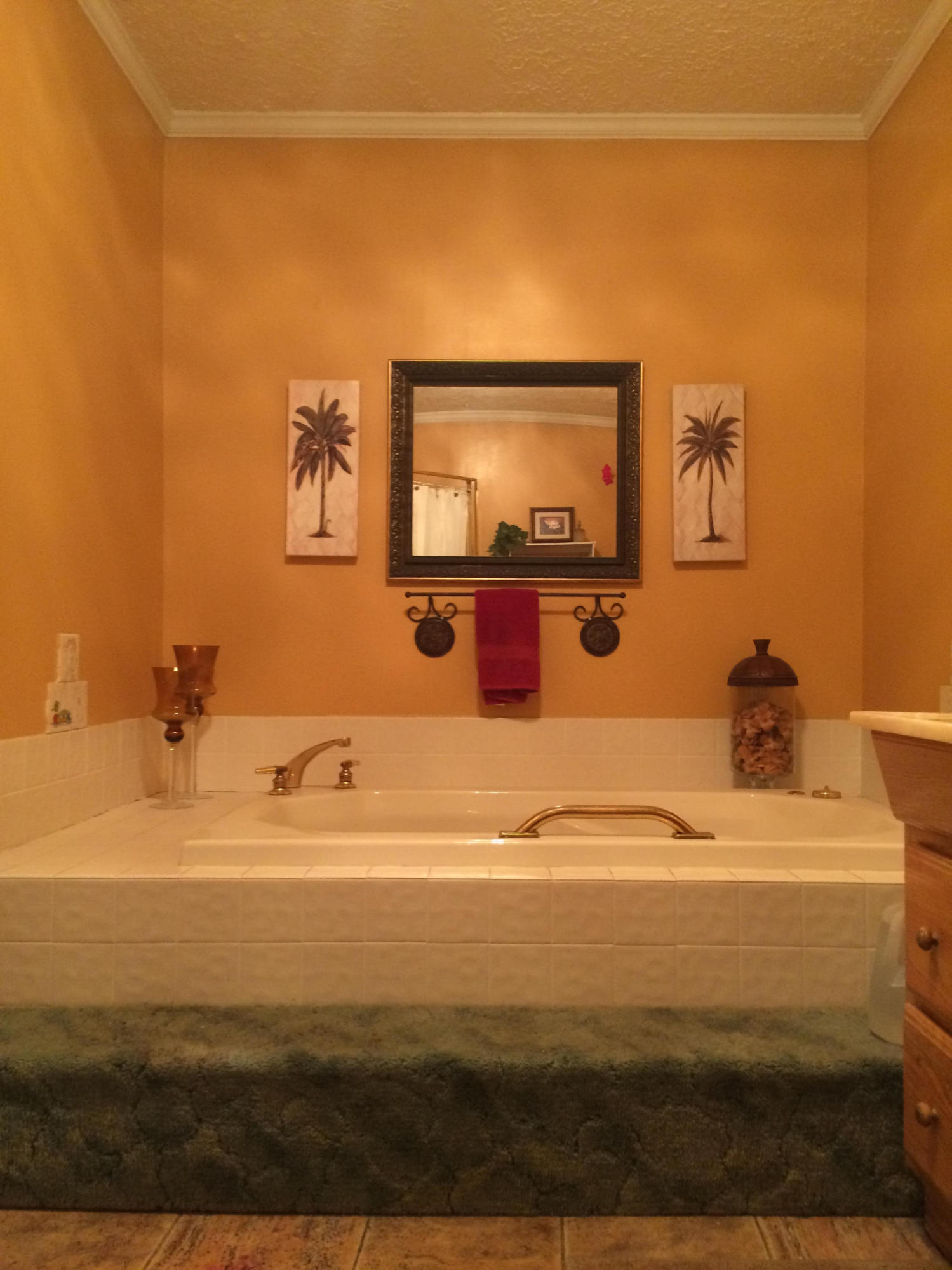 3266 West Nickajack Road Ringgold, GA 30736 - Photo 7 of 14 Jetted Tub in Master Bath