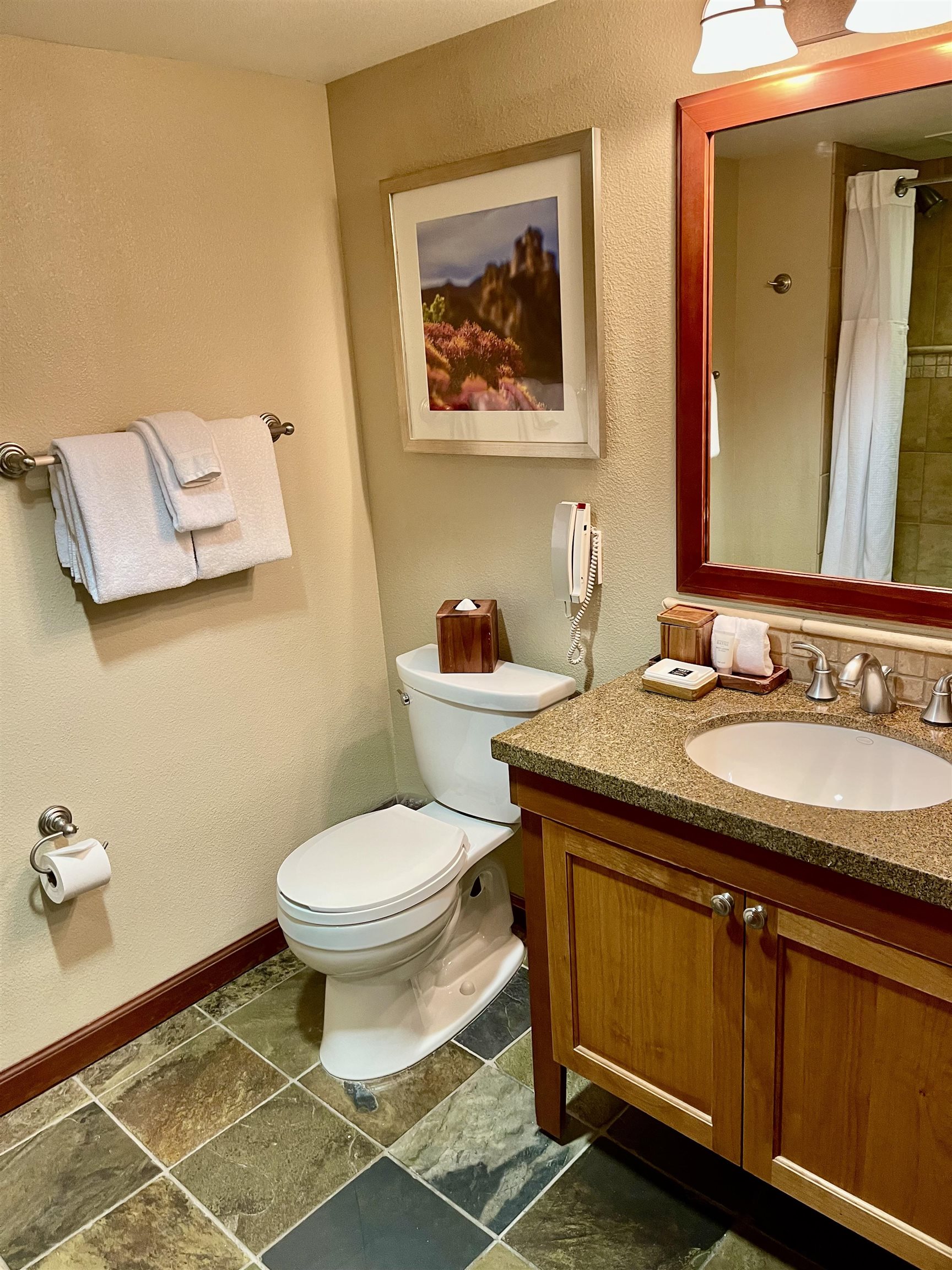 400 Resort Road, Unit 242 244 Olympic Valley, CA 96146 - Photo 19 of 28 a bathroom with a sink and a toilet