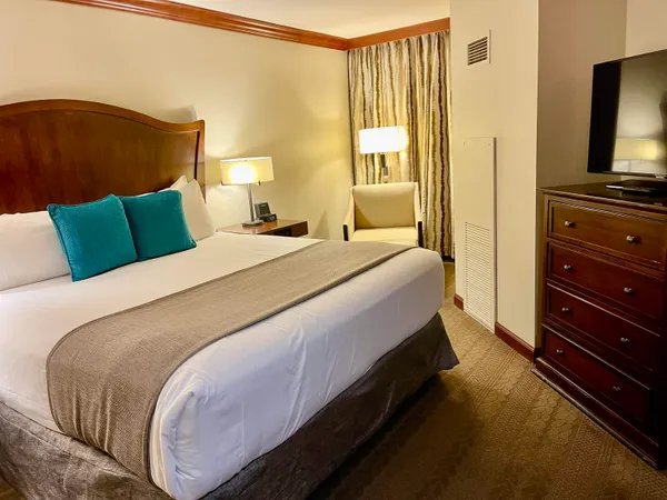 a bed room with a bed and a television