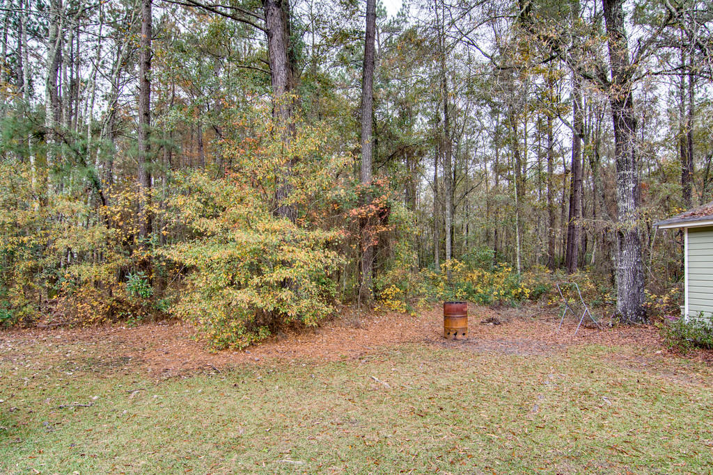 1093 Walleye Road Bonneau, SC 29431 - Photo 31 of 35 cs1512011-1032