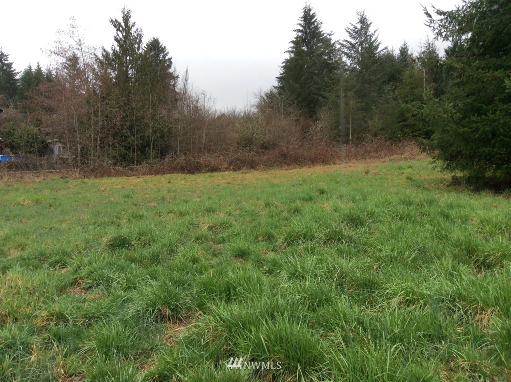 127-32 Kennicott Road Chehalis, WA 98532 - Photo 5 of 8