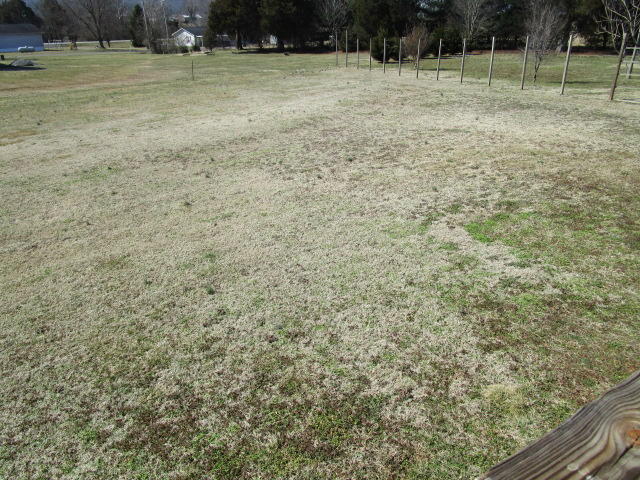 209 Deer Ridge Drive Rutledge, TN 37861 - Photo 4 of 4 IMG_0048