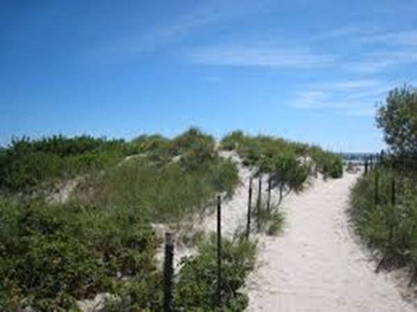 15 Planting Field Road Marshfield, MA 02050 - Photo 21 of 23 Gallery Image 21