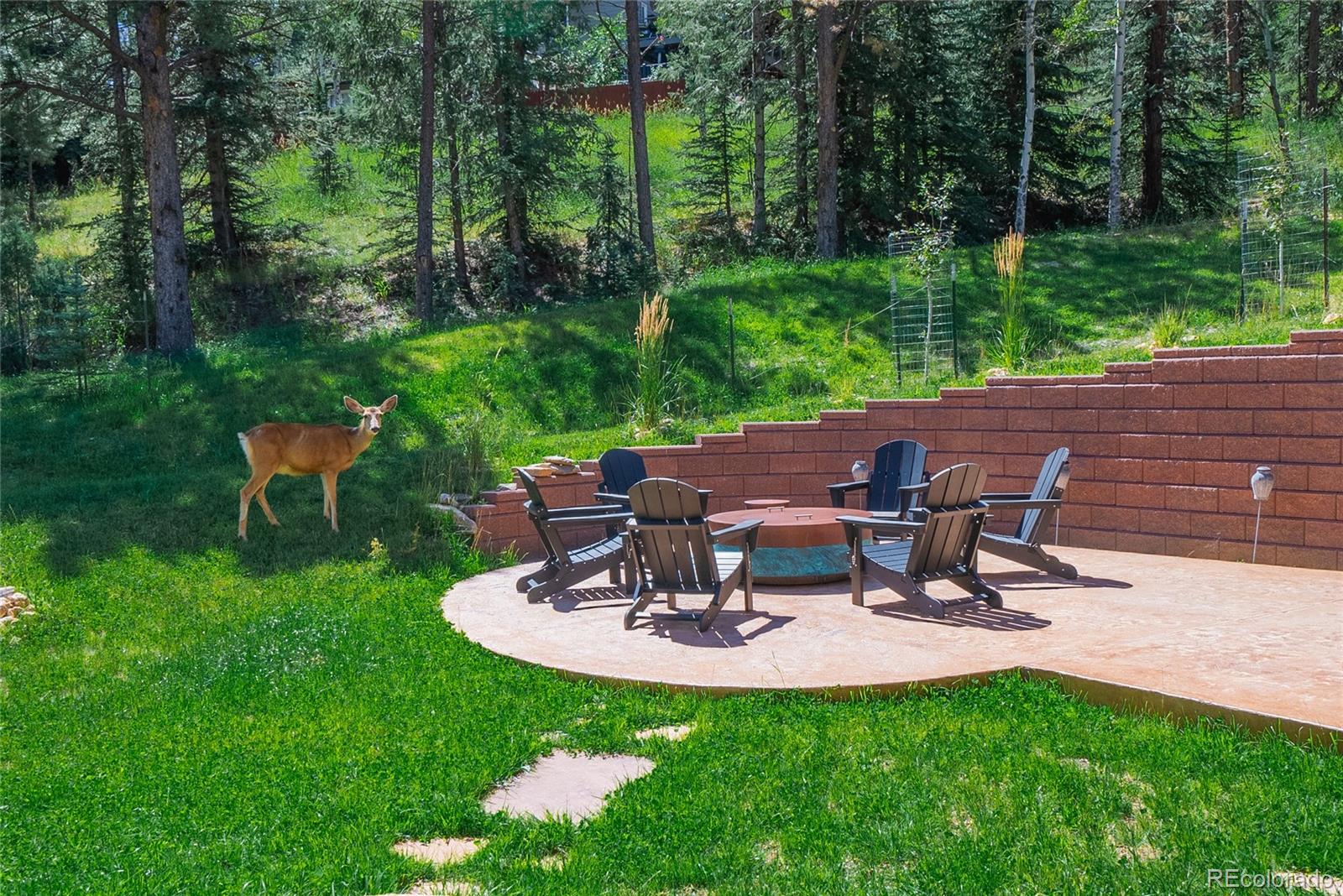 417 Witter Gulch Road Evergreen, CO 80439 - Photo 29 of 39 a view of a backyard with sitting area