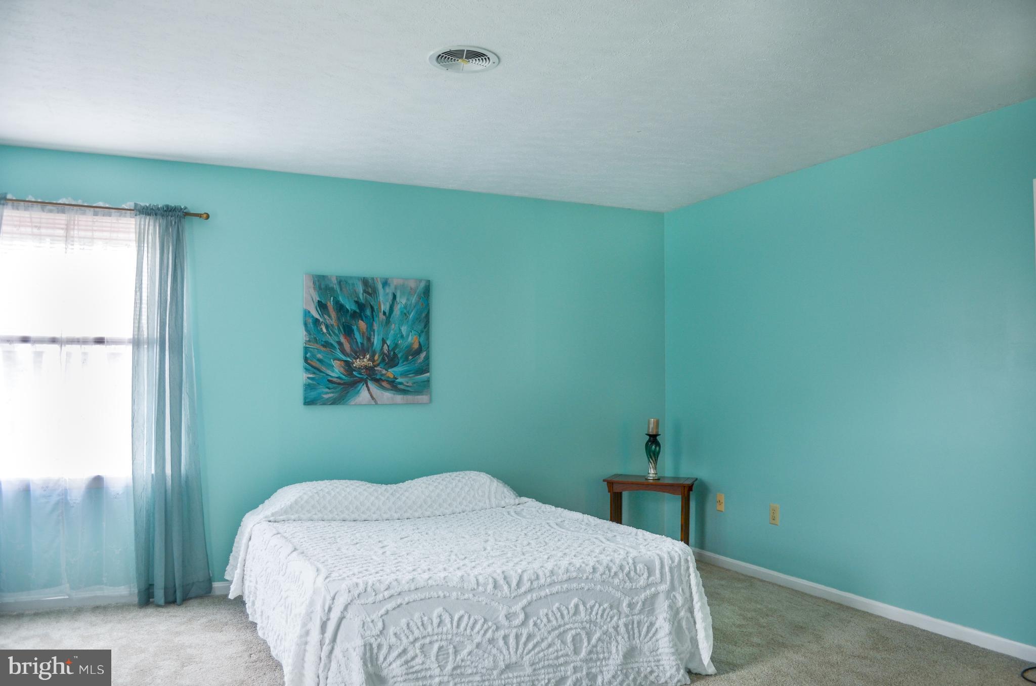 18337 Manor Church Road Boonsboro, MD 21713 - Photo 13 of 30 Bright Master- new carpet
