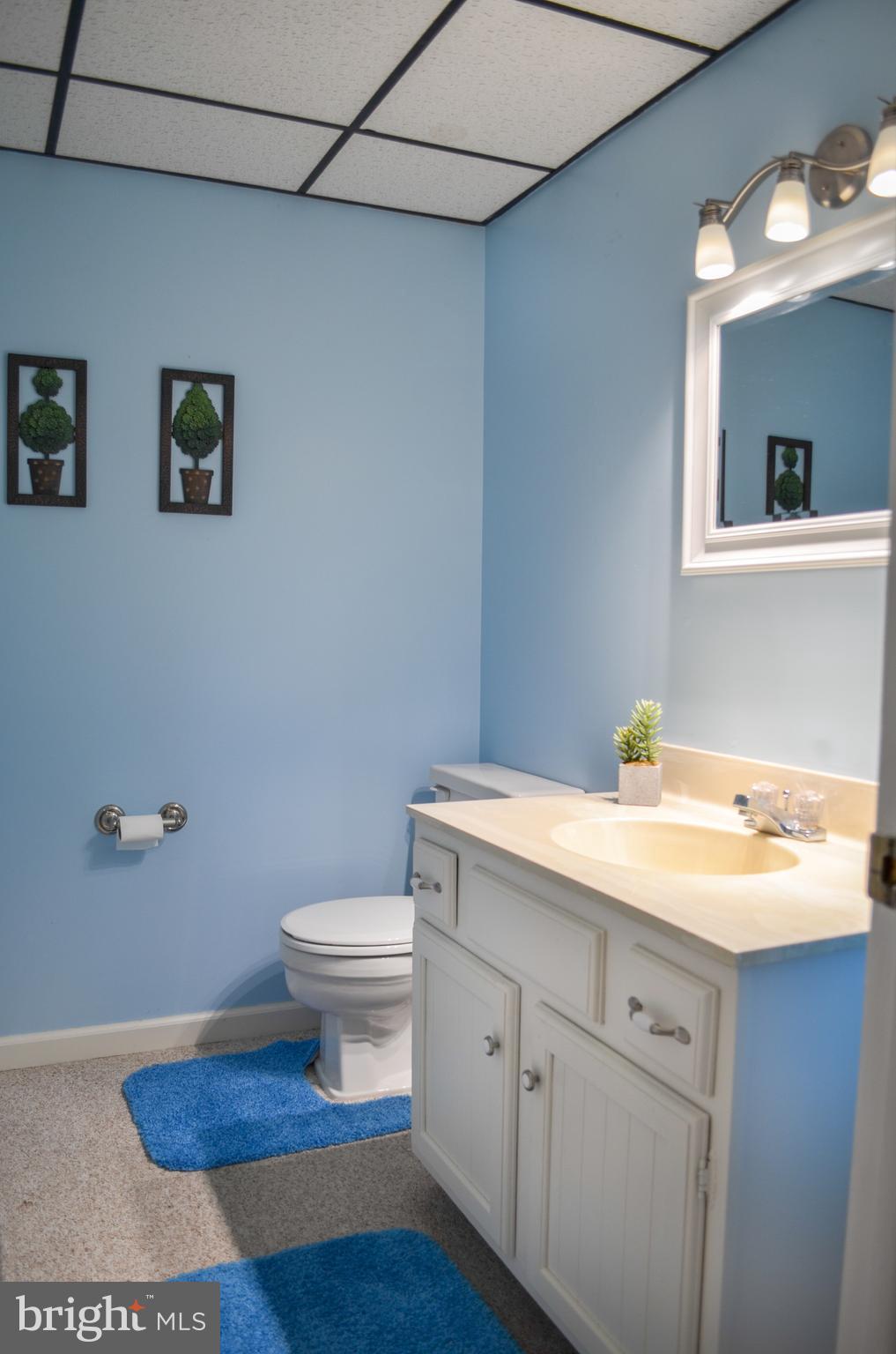 18337 Manor Church Road Boonsboro, MD 21713 - Photo 22 of 30 LL 1/2 Bath