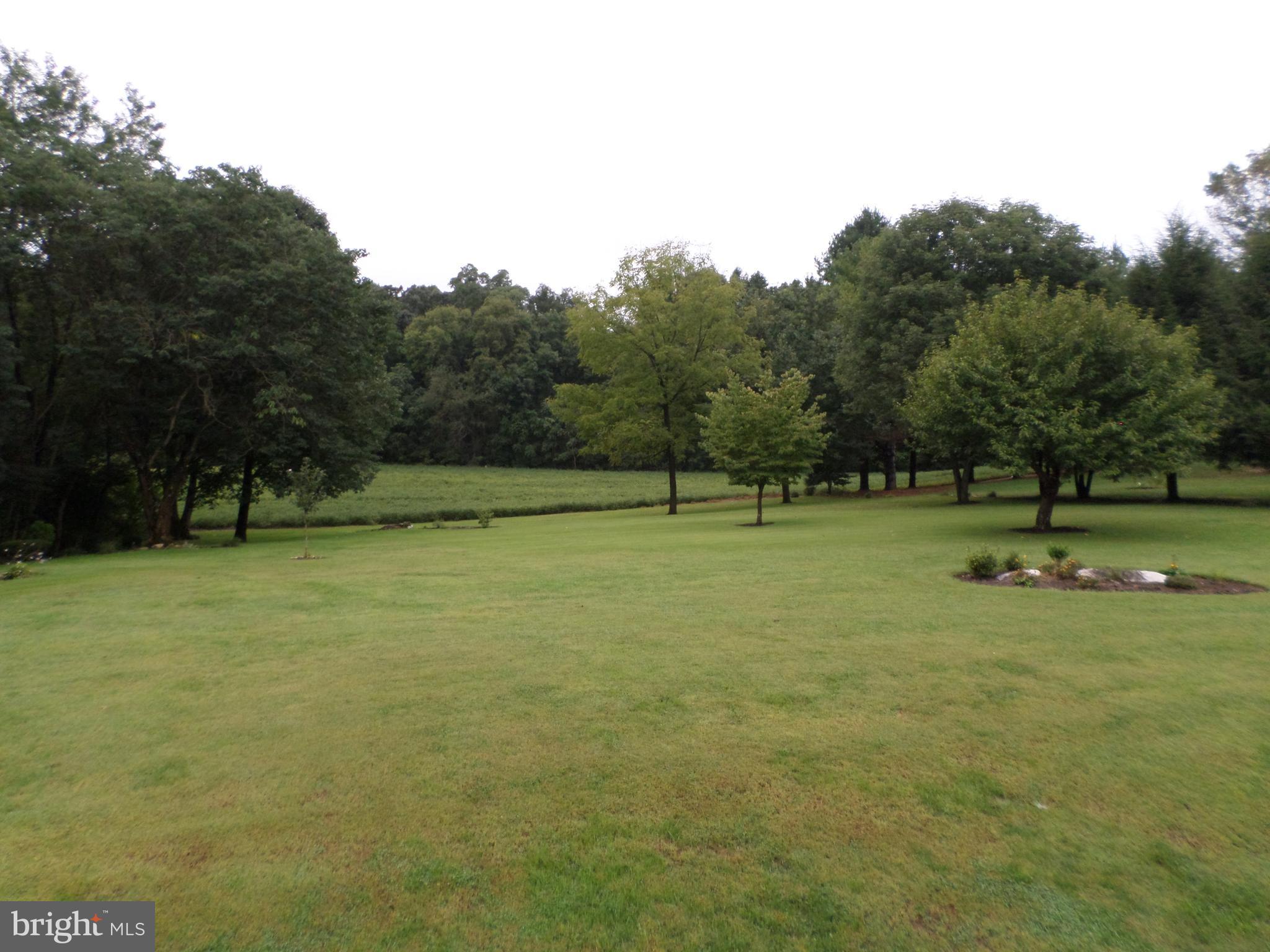 18337 Manor Church Road Boonsboro, MD 21713 - Photo 25 of 30 Back yard View