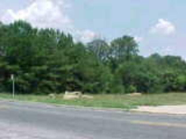 a view of a yard and a house